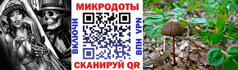 Купить  Биробиджан  Галлюциногенные грибы Cubensis 